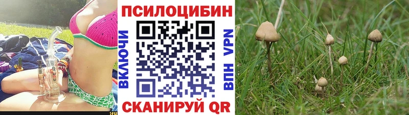 Псилоцибиновые грибы мухоморы  купить   Павловская 