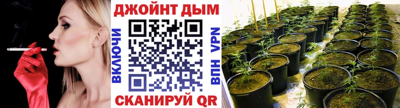 купить наркоту  Павловская  Конопля THC 21% 